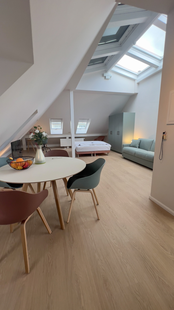 Penthouse Studio (+50m2 3 pers)