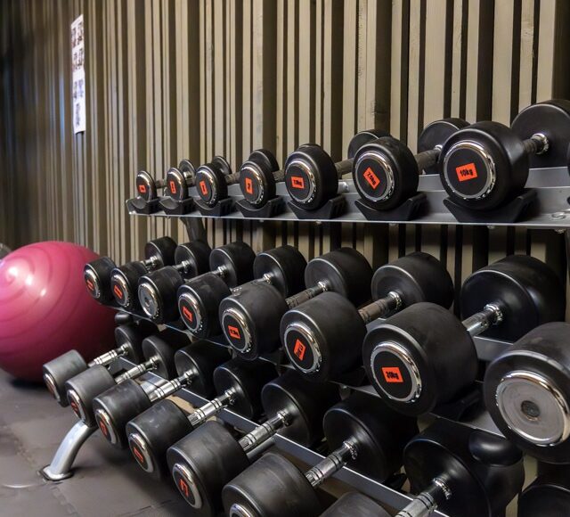 Rows of black dumbbells with red labels on a rack against a striped wall in a gym. A pink exercise ball sits to the side on a rubber floor. Calm atmosphere.